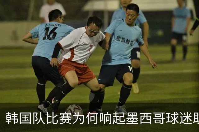 韩国队比赛为何响起墨西哥球迷助威声 奇妙的缘分源自8年前